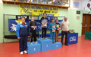 Tournoi 1er pas pongiste - sport adapté