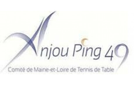 FORMA PING